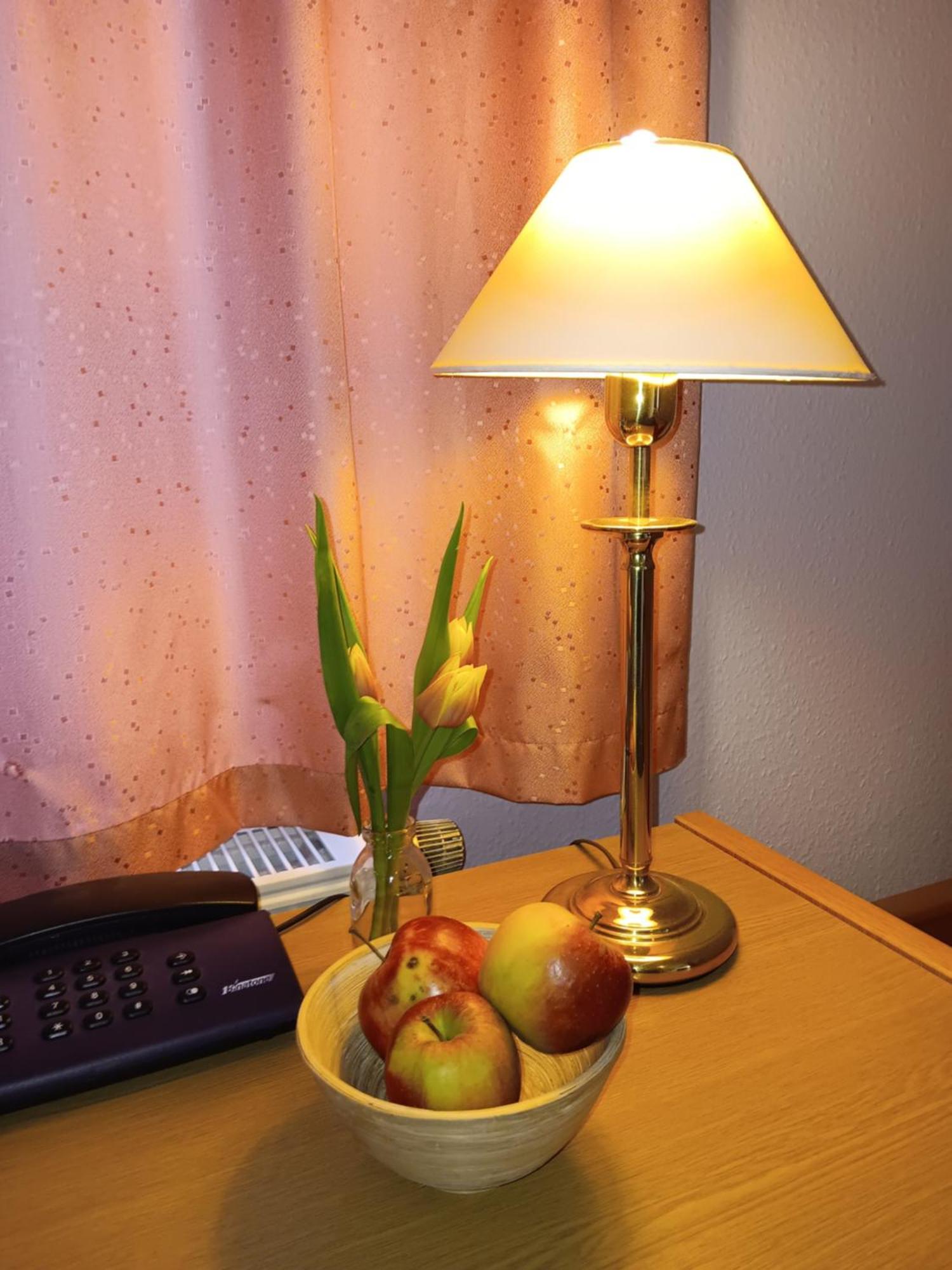 Hotel Burghof Oberweißbach 外观 照片