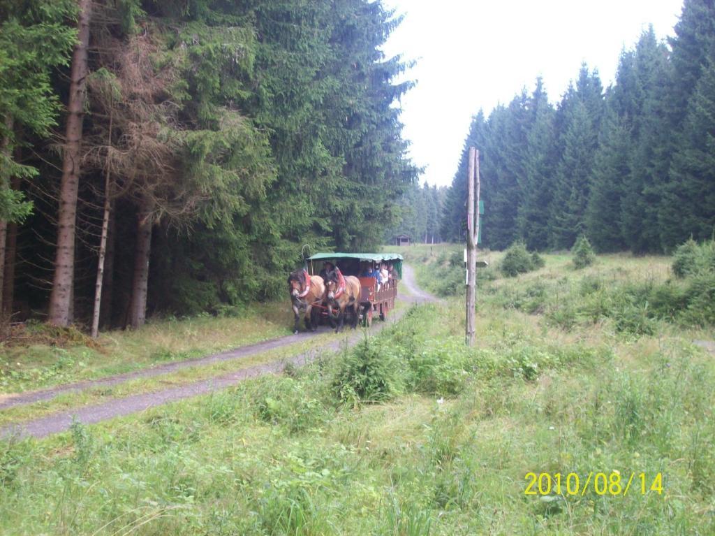 Hotel Burghof Oberweißbach 客房 照片